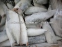 hgt mackerel fish - product's photo