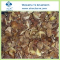 mushroom frozen boletus luteus - product's photo