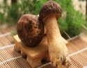 wild porcini, dried sliced boletus edulis - product's photo