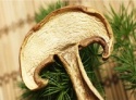 sliced dried boletus edulis - product's photo