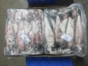 squid fish - product's photo