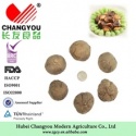 shiitake - product's photo
