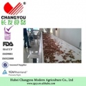 dried porcini mushroom - product's photo