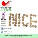 agaricus blazei murill mushroom - product's photo