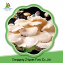 fresh king oyster mushroom spawn - product's photo