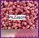 china small red beans - product's photo