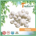 hatake shimeji mushroom - product's photo