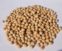 yellow peas - product's photo