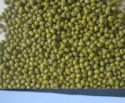 green mung bean - product's photo