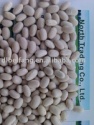 japanese white kidney bean 2013 crop, heilongjiang origin, hps) - product's photo