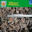 high quality frozen diced black fungus, black fungus chunks - product's photo