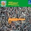 wholesale frozen mix fungus - product's photo