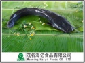 frozen whole round catfish - product's photo