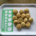 canned mushroom from hubei of china - product's photo
