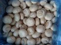 iqf / frozen champignon mushroom / white mushroom - product's photo