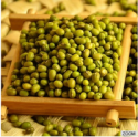 green mung bean - product's photo
