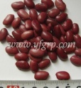 light speckled kidney beans red kidney beans - product's photo