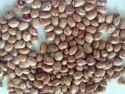 light speckled kidney beans - product's photo