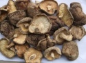  white flower shiitake mushroom - product's photo