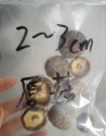 smooth mushroom/white flower mushroom - product's photo
