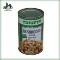 canned oyster mushroom - product's photo