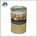 oyster mushroom - product's photo