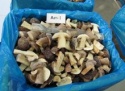 	 frozen boletus edulis - product's photo