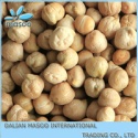 dried iranian desi chickpea - product's photo