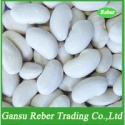 white kidney beans - product's photo