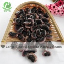 dark purple speckled kidney beans pinto bean - product's photo