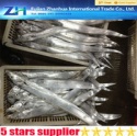 ribbon fish  - product's photo