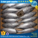 seafood fish bonito - product's photo