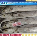 frozen ribbon fish 450-550g - product's photo