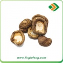 shiitake mushroom - product's photo
