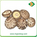 shiitake mushroom - product's photo