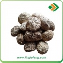 dried magic mushroom - product's photo