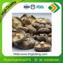 organic magic whole smooth shiitake mushroom - product's photo