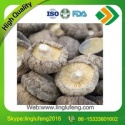 shiitake mushrooms dried from henan - product's photo