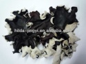 dried black fungus mushroom - product's photo