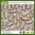 light speckled kidney bean sugar bean  - product's photo