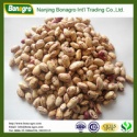 best quality light speckled kidney bean for canned food - product's photo