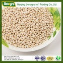 white kidney beans,navy bean - product's photo