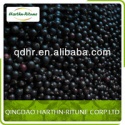 frozen black currant - product's photo