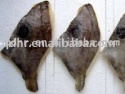 frozen john dory fillet - product's photo