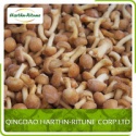 frozen iqf nameko - product's photo