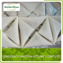 frozen samosa - product's photo