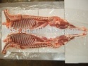  frozen lamb - product's photo