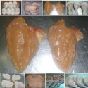 frozen boneless halal chicken for sale - product's photo