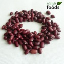 bigger size janpanese red kidney beans - product's photo