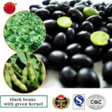 black bean with green kernel - product's photo